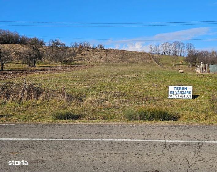 Teren de 5600 mp, în Tileagd