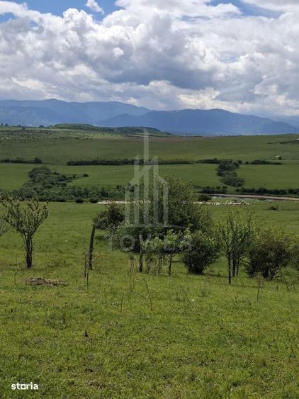 Spațiu comercial, în Daia