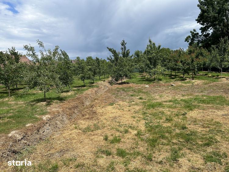 Casă cu 6 camere decomandat cu Teren 2700 Mp în Bocsig