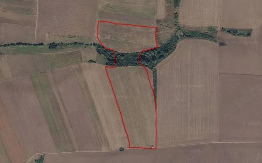 Teren de 110000 mp, în Petrovaselo