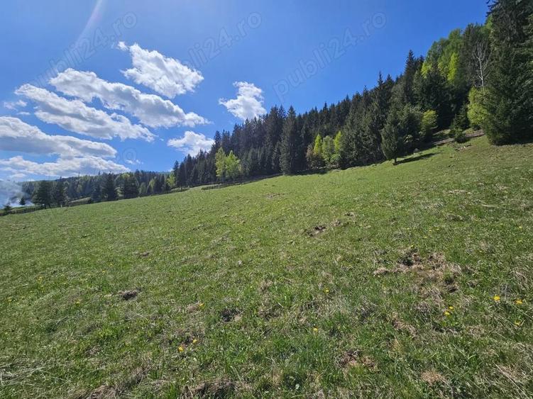 Teren de 5350 mp, în Pojorâta