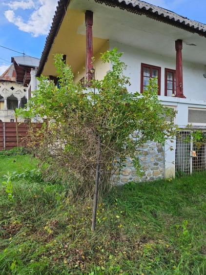 Casă cu 4 camere în Pietroșani