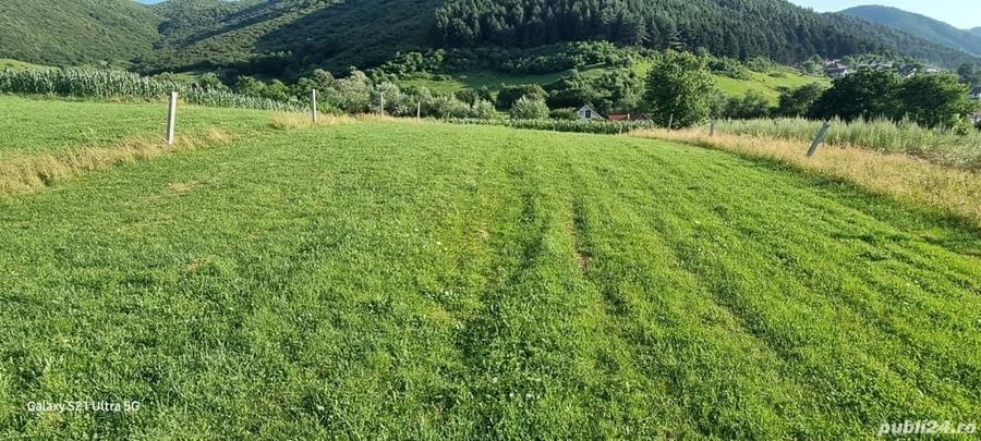 Teren de 5000 mp, în Gura Râului