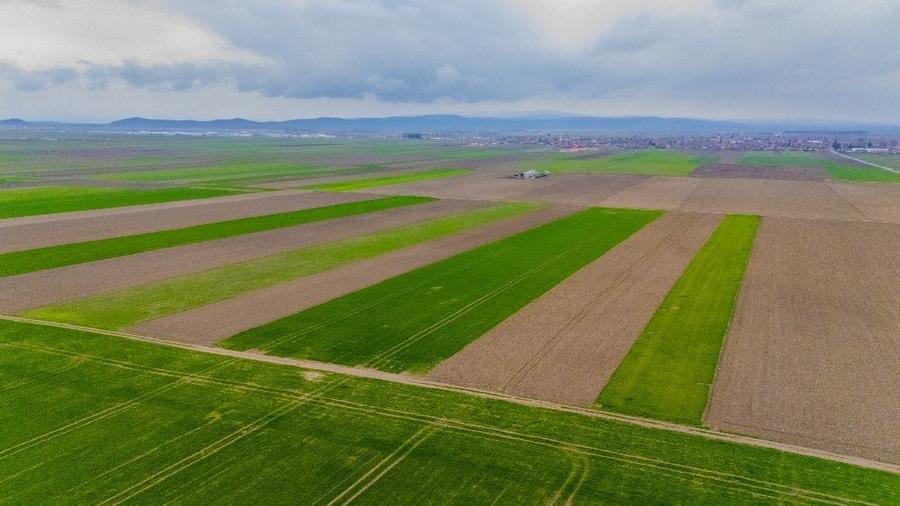Teren agricol extravilan de 17700 mp, în Prejmer