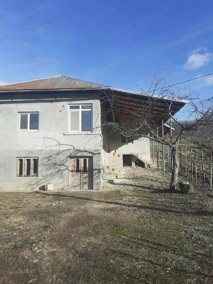 Casă cu Teren 3800 Mp în Fârtățești