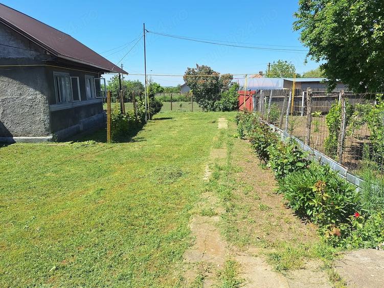 Casă cu Teren 1200 Mp în Ciorani