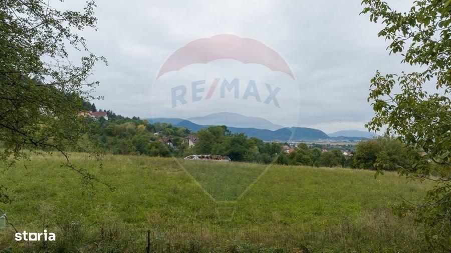 Spațiu comercial, în Poiana Angelescu