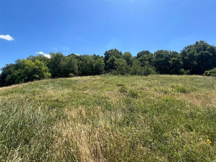 Teren Construcții intravilan de 17475 mp, în Tomești