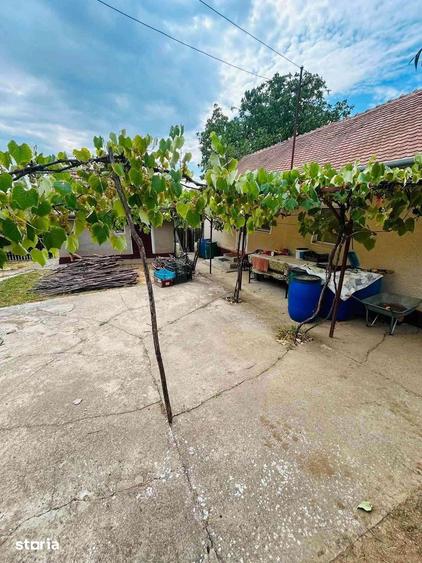 Casă cu Teren 1400 Mp în Sânmartin