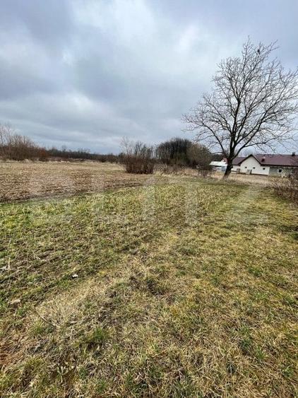 Teren Construcții intravilan de 5775 mp, în Gălănești