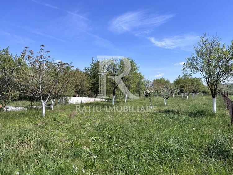 Casă individuală cu 1 camere cu Canalizare în Chijic