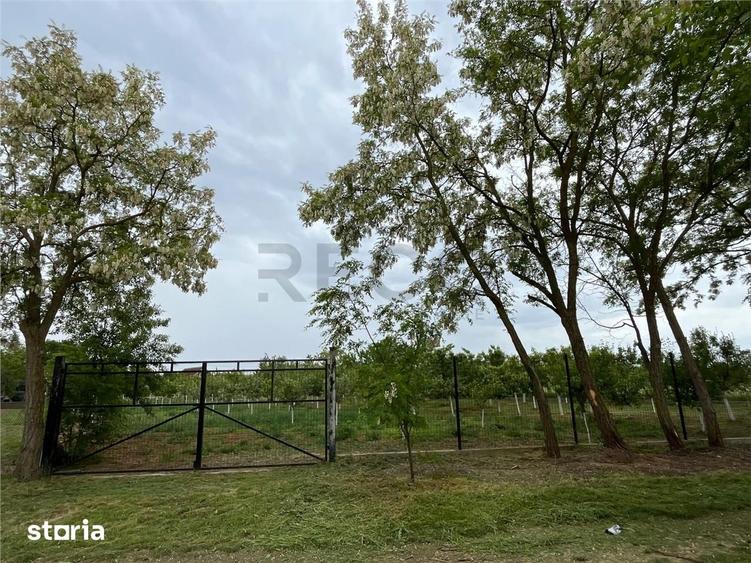 Casă cu 3 camere cu Teren 2350 Mp în Gepiu