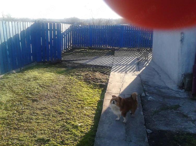 Casă cu 6 camere cu Teren 1700 Mp în Darabani