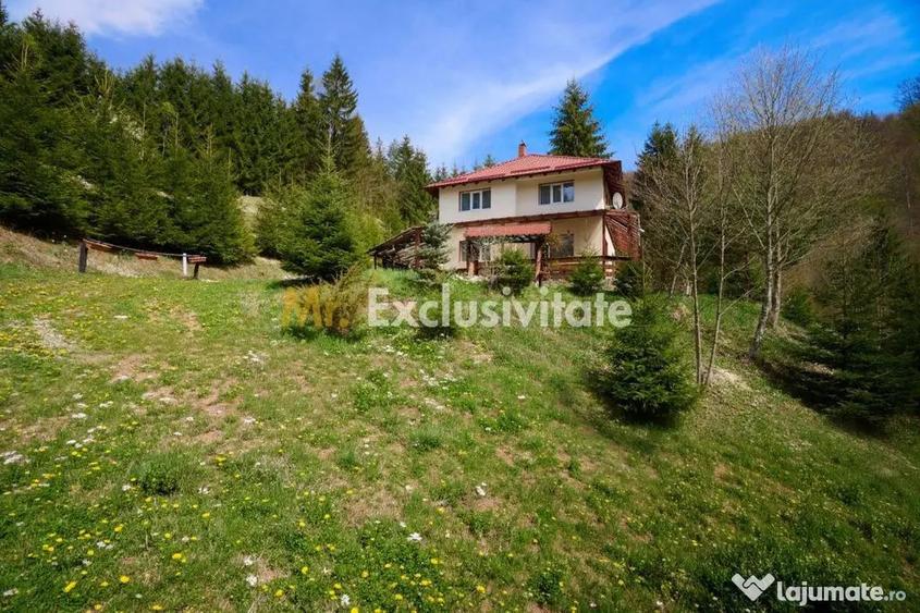 Casă cu 5 camere cu Teren 6412 Mp în Dâmbovicioara