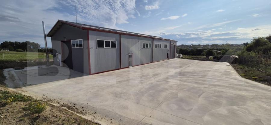 Hala depozitare/productie, 340 mp, Mitocasi - 12
