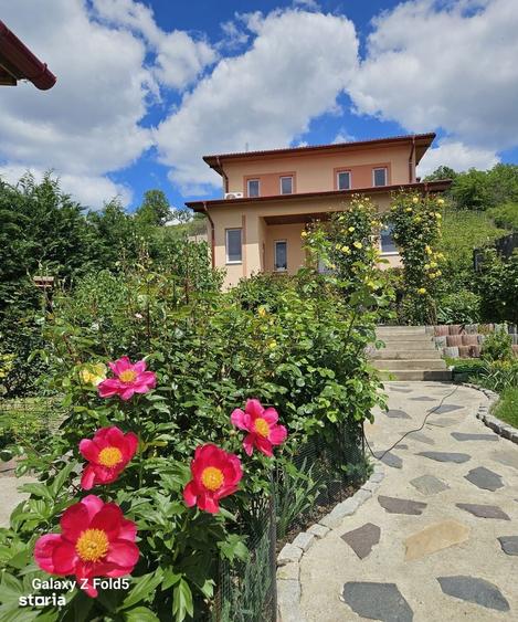 Casa noua Podgoria, 1035 mp teren - 1