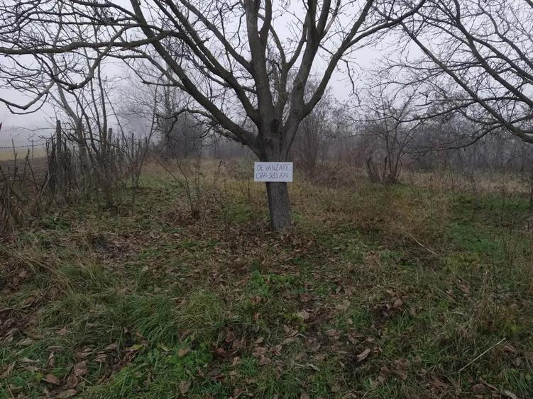 Teren de 1300 mp, în Găgești