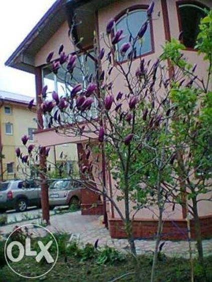 Casă individuală cu 7 camere cu Garaj în Ordoreanu
