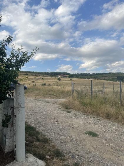 Spațiu comercial, în Florești