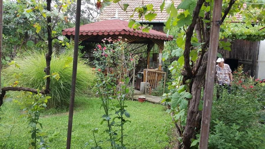 Casă cu 4 camere în Aluniș