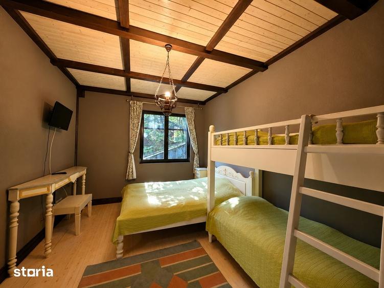 Mountain Chalet | Private Resort | Investment - Nistoresti - 4