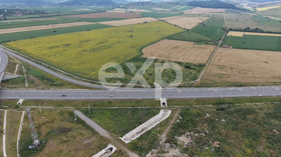 Teren Construcții extravilan de 44376 mp, în Ungheni