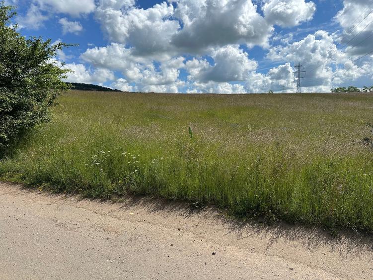 Teren Construcții extravilan de 10000 mp, în Exterior Est