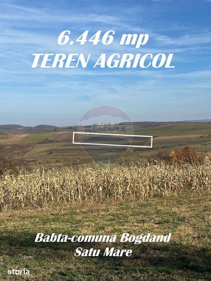 Teren de 12934 mp, în Bogdand