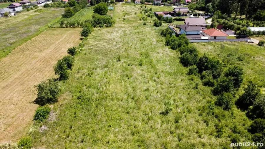 Teren de 4600 mp, în Bujoreni