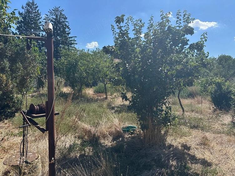 Casă cu Teren 1700 Mp în Salcia
