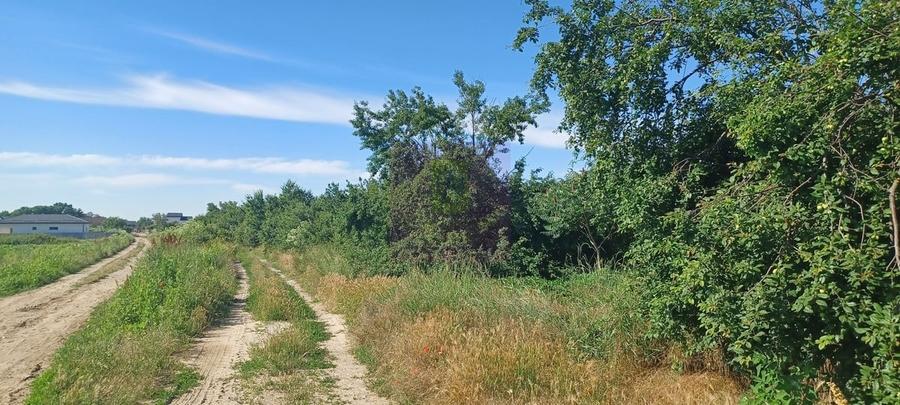 Teren în Central