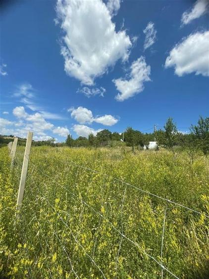 Teren Construcții intravilan de 1675 mp, în Podgoria