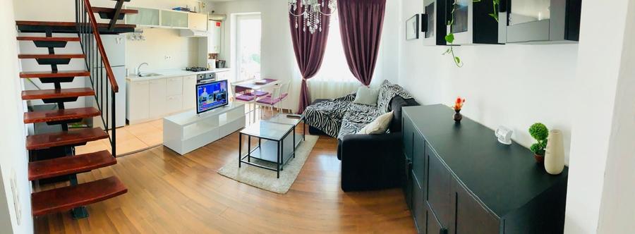 Apartament 2 Camere Duplex Elegant 2 Niveluri Luminos cu Centrala Bucuresti Sector 3 - 8