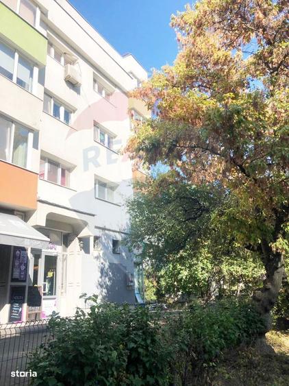 Apartament 2 camere de inchiriat Aviatiei / Smaranda Braescu - 9