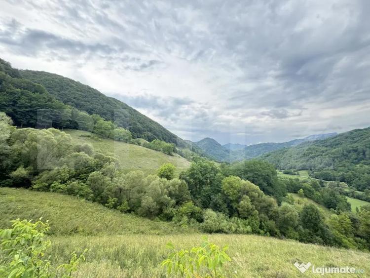 Teren extravilan 23.376 mp, in apropiere de Brad - 2