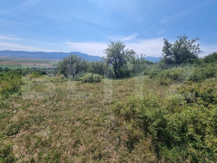 Teren Construcții extravilan de 3460 mp, în Vulcan