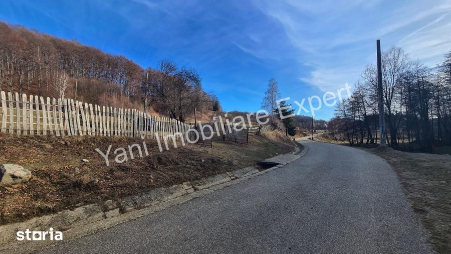 Teren de 4681 mp, în Cicănești