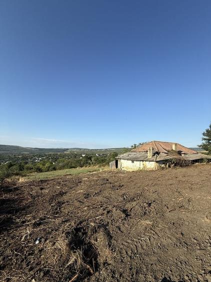 Spațiu comercial, de 4,200 mp, în Tomești