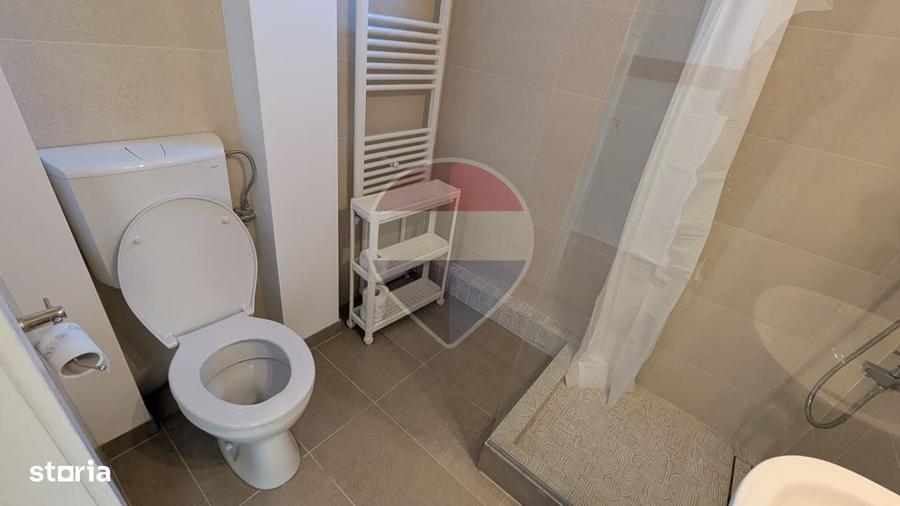 Apartament 3 camere de inchiriat - recent renovat, Grigorescu - 10