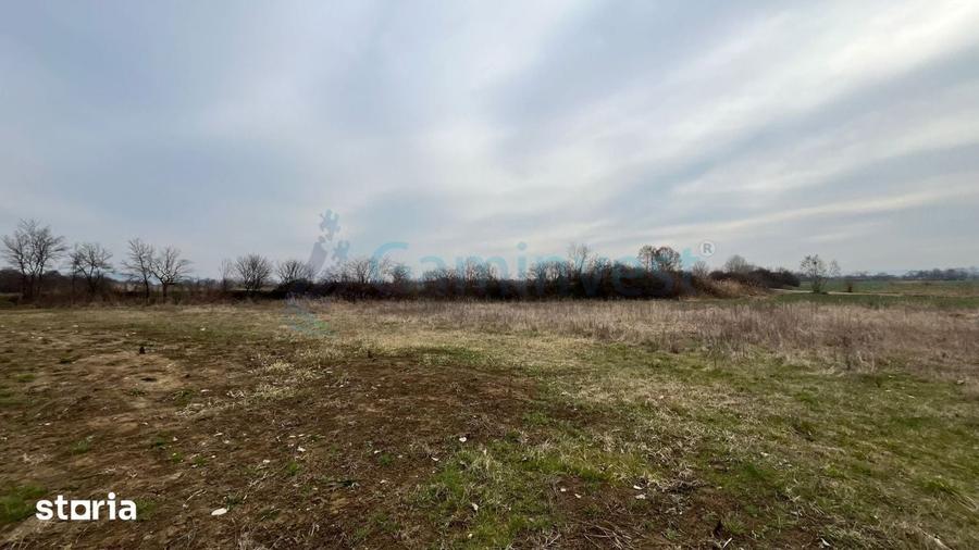 Teren intravilan 5700 mp de vanzare Podgoria, Gaminvest V4566 - 1