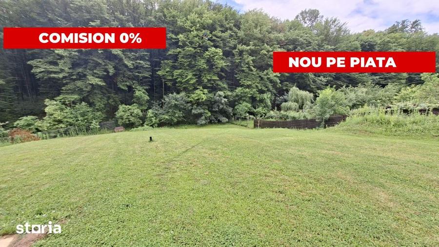 Teren intravilan 1203 mp Bascov-Florea zona Superba - 3