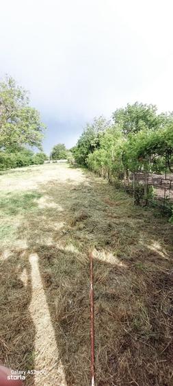 Teren de 1460 mp, în Dascălu