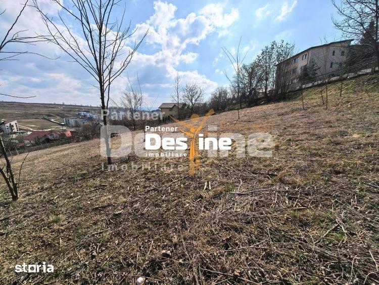 3000 mp teren intravilan, parcelat in 3 bucati Valea Lupului - 5