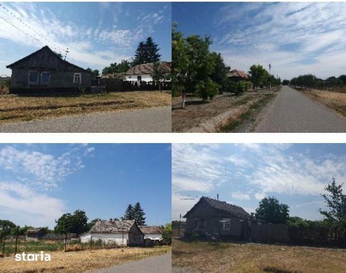 Casă cu 2 camere cu Teren 719 Mp în Beba Veche
