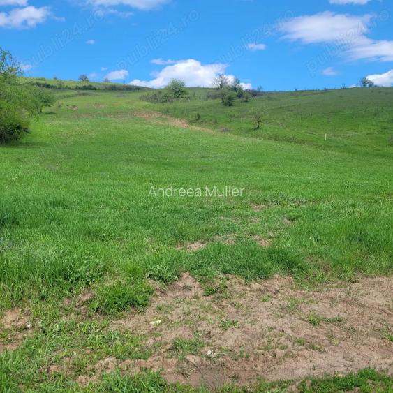 Teren zona com. Sanpaul, jud. Cluj