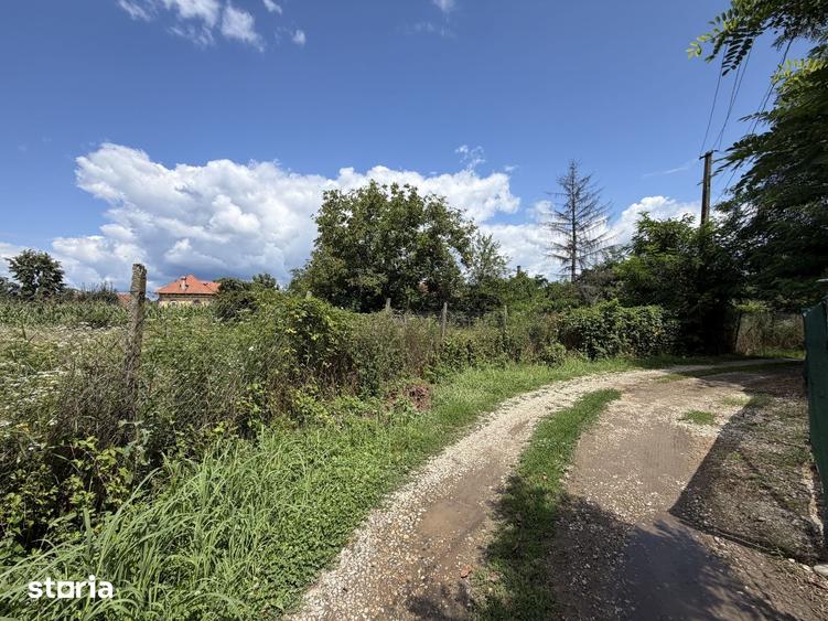 Teren de 6934 mp, în Țițești
