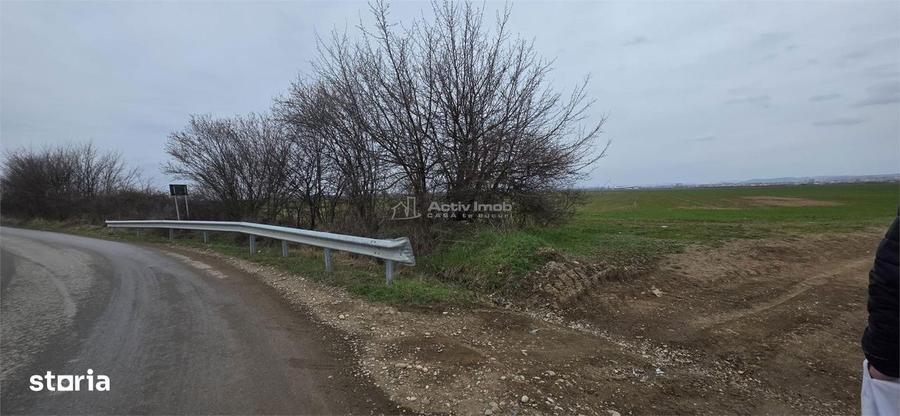 Teren de 7900 mp, în Ulmi