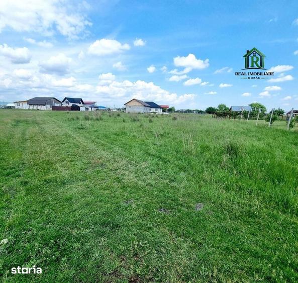 Teren de 1824 mp, în Mărăcineni