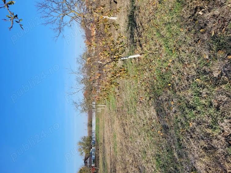 Teren de 1414 mp, în Sânpetru Mare