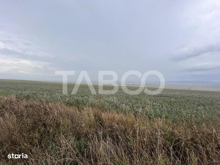 Teren de vanzare 30000 mp 60 ml deschidere Sura Mare Sibiu - 1